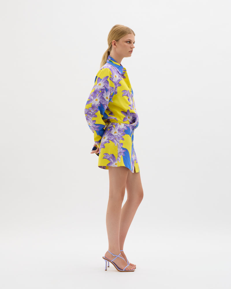 Muma World In The Garden Classic Shirt Dress